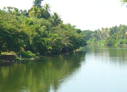 Kottayam Wildlife Sanctuary in Kottayam