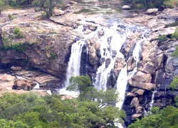 Chinnar Wildlife Sanctuary in Idukki