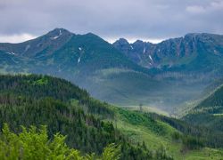 Kane Wildlife Sanctuary in Siang