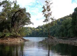 Mehao Wildlife Sanctuary in Dibang