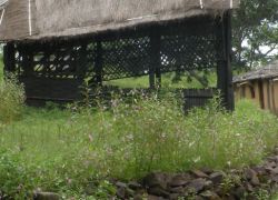 Tribal Habitat (Museum of Man): in Bhopal