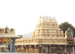 Bhadrakali Temple in Warangal