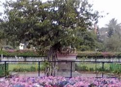 Peshwa Udyan Zoo in Pune