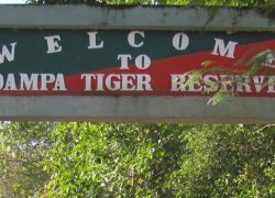 Dampa Wildlife Sanctuary in Aizawl