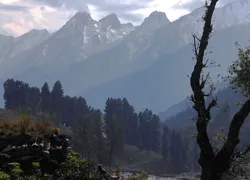 Overa Wildlife Sanctuary in Kashmir