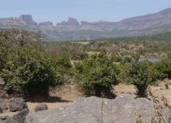 Kalsubai Harishchandragad Wildlife Sanctuary in Ahmednagar
