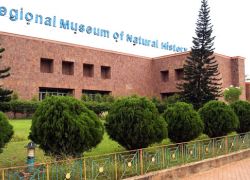 Regional Museum of Natural History