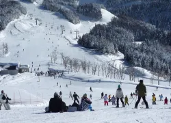 Skiing in Manali