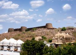 Bassi Fort