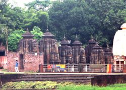 Ananta Vasudeva Temple in Bhubaneswar