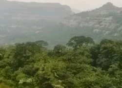 Bhimashankar Wildlife Sanctuary