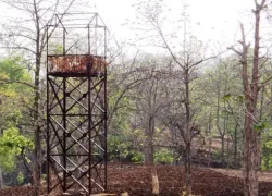 Yawal Wildlife Sanctuary in Jalgaon