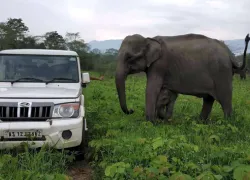 Sonai Rupai Wildlife Sanctuary in Tezpur