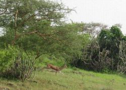 Hingolgadh Nature Education Sanctuary in Rajkot