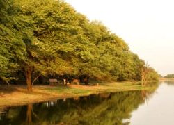 Thol Wildlife Sanctuary in Mehsana
