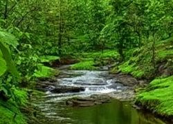 Tansa Wildlife Sanctuary in Thane