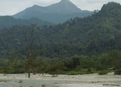Buxa Tiger Reserve in Jalpaiguri
