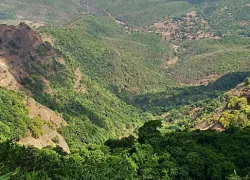 Radhanagari Wildlife Sanctuary in Kolhapur