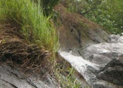 Killiyur Falls in Yercaud