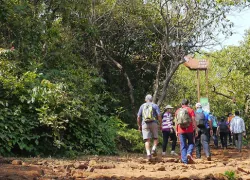 Koyna Wildlife Sanctuary in Satara