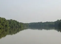 Bhitarkanika Wildlife Sanctuary in Cuttack