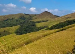 Kemmanagundi Hills in Chikmagalur