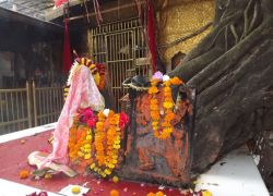 Chintpurni Devi Temple in Chintpurni