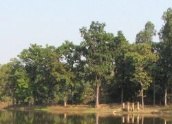 Navegaon National Park in Nagpur