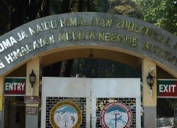 Padmaja Naidu Himalayan Zoological Park