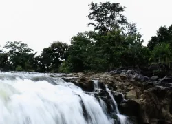 Pochera Waterfalls in Adilabad