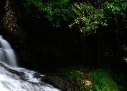 Crinoline WaterFalls