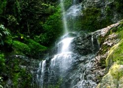 Chadwick Waterfalls in Shimla