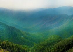Peermade Hills in Kottayam