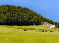 Dalhousie Hill Station