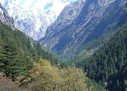 Gangotri Hills