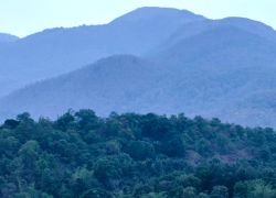 Biligirirangana Betta Hills