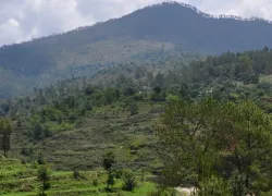 Ranikhet Hills