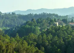 Coonoor Hills