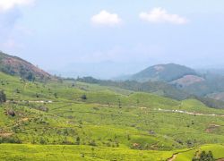 Devikulam Hills