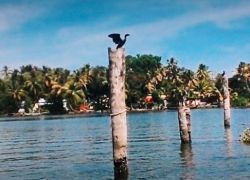 Pathiramanal Beach in Alleppey