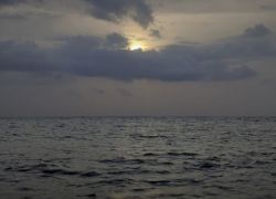 Thumpoly Beach in Alleppey