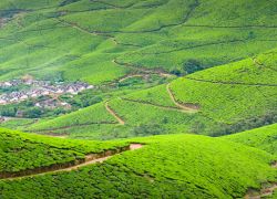 Kolukkumalai Tea Estate