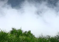 Kottathavalam in Kottayam