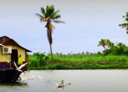 Alumkadavu in Kollam