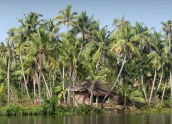 Ponnumthuruthu in Varkala