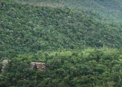 Sri Venkateswara National Park