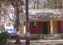 Vansda National Park in Navsari