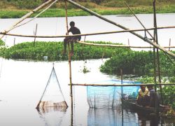 Angling in Assam in Dibrugarh