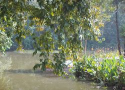 Hazaribagh National Park in Hazaribag