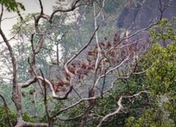 Tundah Sanctuary in Chamba